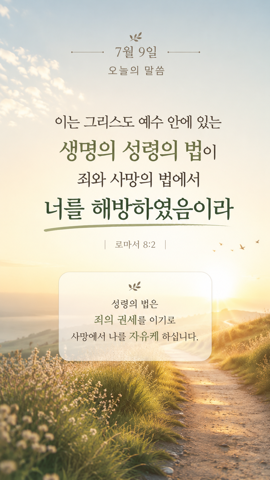 성령의 법